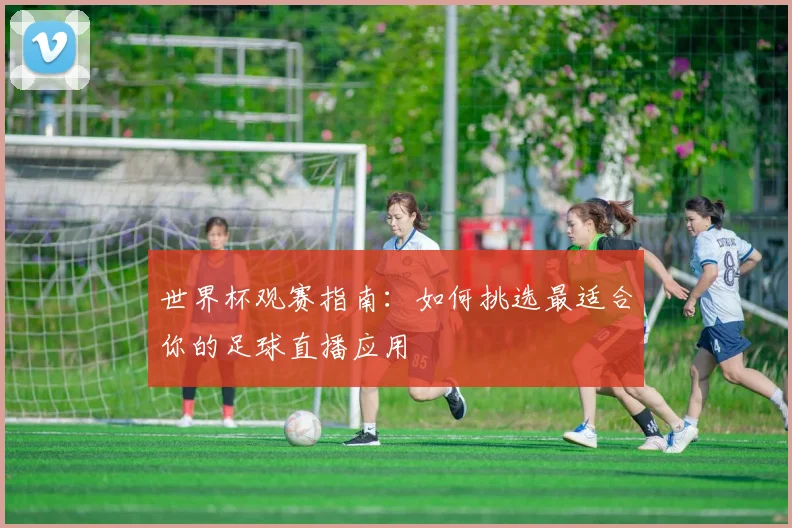 世界杯观赛指南：如何挑选最适合你的足球直播应用