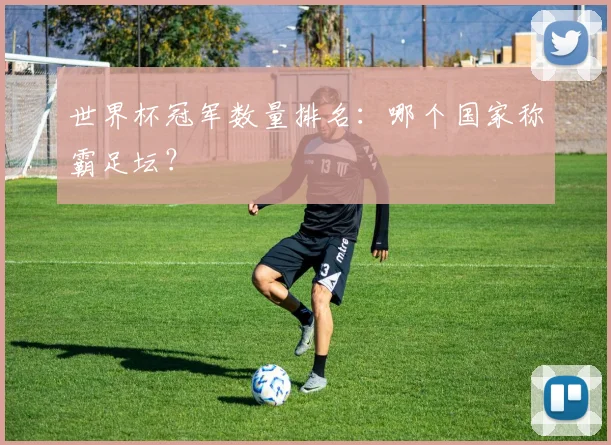 世界杯冠军数量排名:哪个国家称霸足坛?