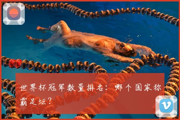 世界杯冠军数量排名:哪个国家称霸足坛?