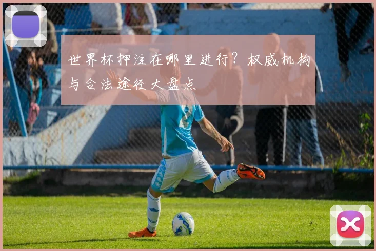 世界杯押注在哪里进行?权威机构与合法途径大盘点