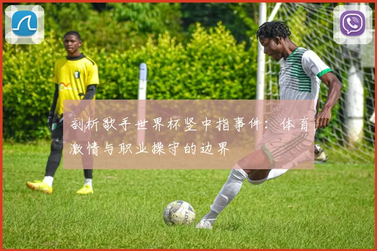 剖析歌手世界杯竖中指事件：体育激情与职业操守的边界