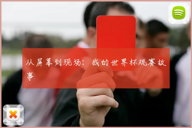 从屏幕到现场:我的世界杯观赛故事
