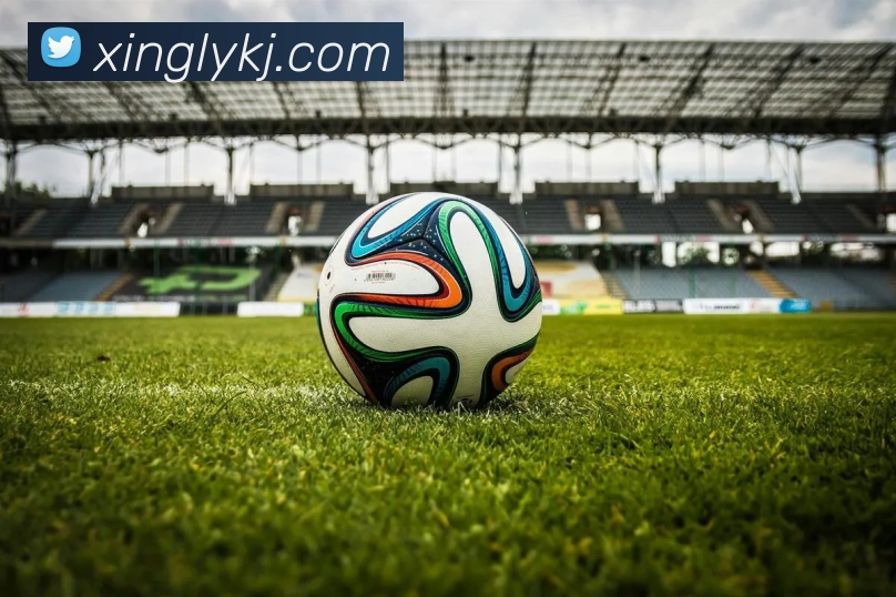 APP界面展示
